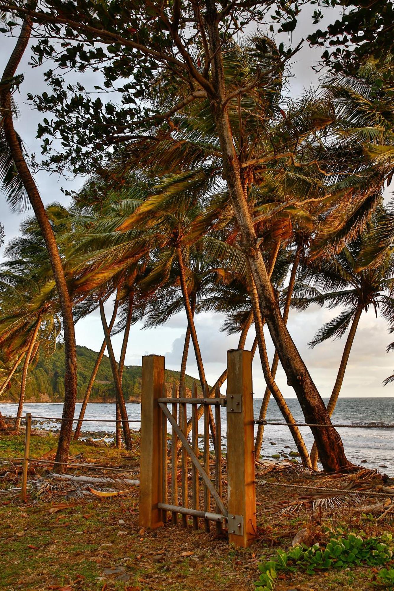 Maison D'O Baie De Saint-Jacques, Sur Une Plage Sauvage 圣玛丽 外观 照片