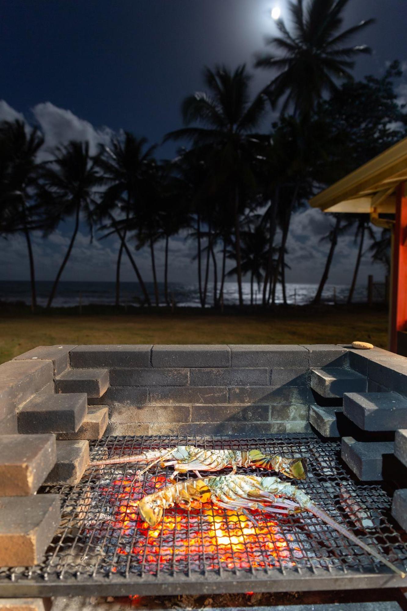 Maison D'O Baie De Saint-Jacques, Sur Une Plage Sauvage 圣玛丽 外观 照片